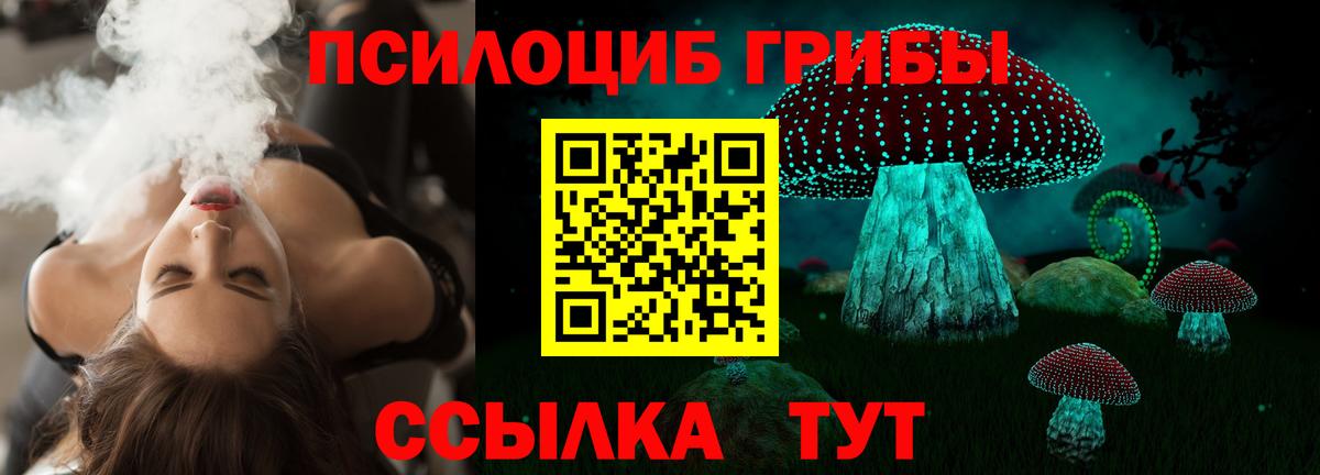 Галлюциногенные грибы Cubensis  Галлюциногенные грибы Cubensis  Вход с VPN  Усолье-Сибирское 